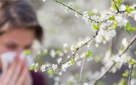 春天如何避開 花粉過敏縮略圖