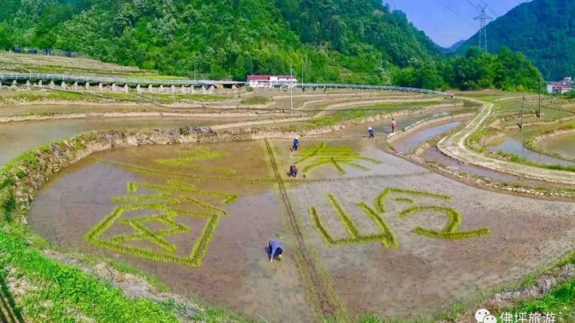 佛坪這些地方，讓你的春游不再單調(diào)！插圖17