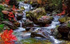 花開千樹“層林盡染”，佛坪秋景大賞~縮略圖