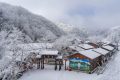 降溫要來了！1月11日—15日陜西多雨雪天氣 陜北降溫8-10 ℃縮略圖