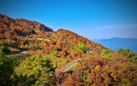 已經(jīng)紅了，快來漢江源看彩林！縮略圖