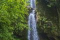 大霧黃色預(yù)警！漢中這些地方能見度低→縮略圖