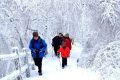 隨著冷空氣的抵達(dá)，陜西迎來一份雨雪、降溫、吹風(fēng)天氣過程縮略圖