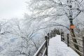 龍頭山今日又下雪啦，每一幀都是“限定浪漫”！縮略圖