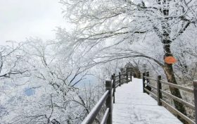 龍頭山今日又下雪啦，每一幀都是“限定浪漫”！縮略圖