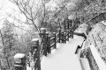 冷?冷?冷?，最低零下 6 ℃ ，漢臺(tái)迎來新一輪降溫降雪，詳情→縮略圖