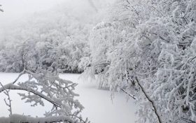 局地積雪可達(dá)10cm！冰雪路面如何安全行車？縮略圖