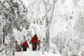 【鬧元宵·賞雪景】一起去漢江源看雪吧！縮略圖